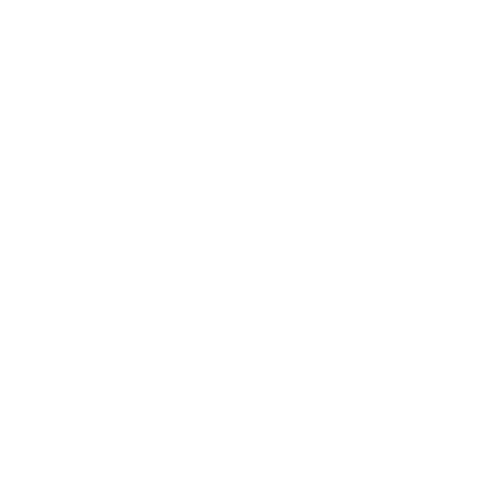 Nieuwbouwproject – De reisduif